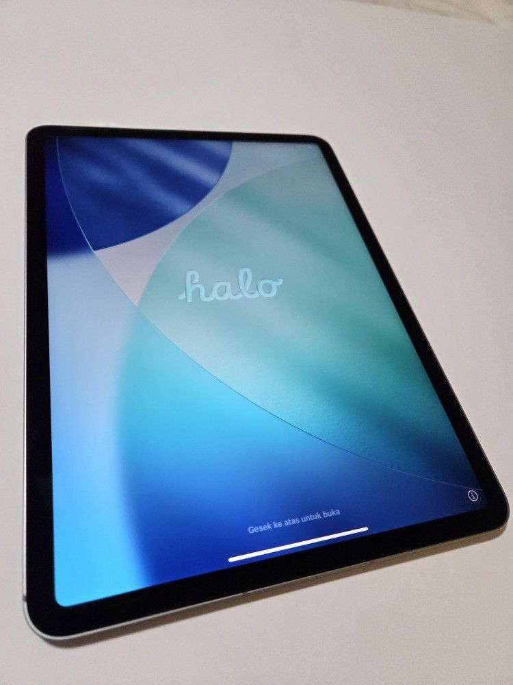 iPad Pro 11 Inch (4th Generation) 256GB WiFi + 5G