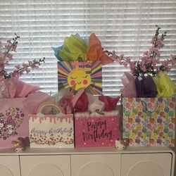 Birthday Gift Bags 