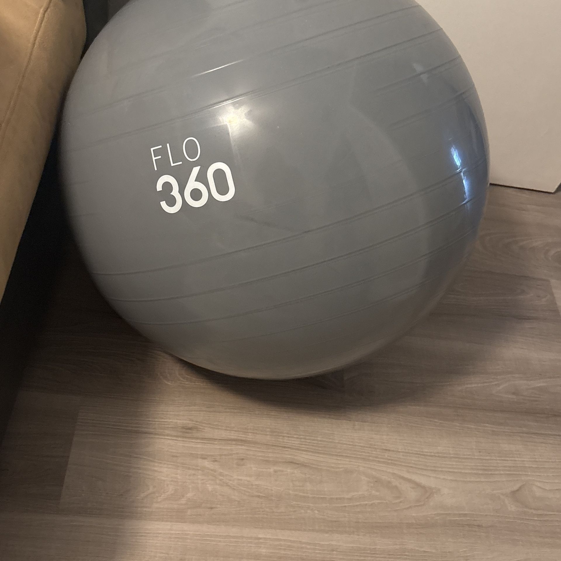 Exercise Ball