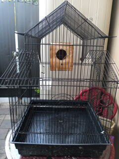 Bird Cage.