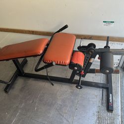 Plate Loaded Lying Leg Curl Gym Equipment Hamstring Curl 