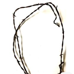 Free Barbed Wire 2-3ft Peuces For Crafts