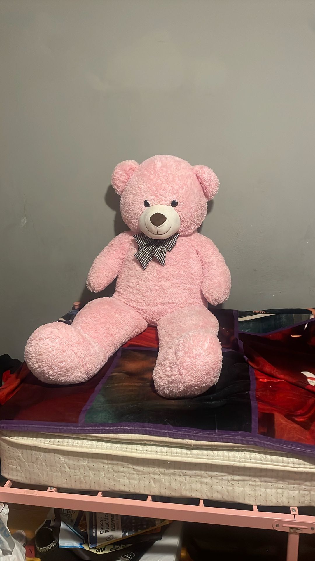 Giant Pink Teddy Bear