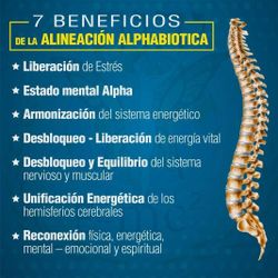 Alphabiotista, "Sobador" Terapias Holisticas, Metabolismo Y Manejo De Estres