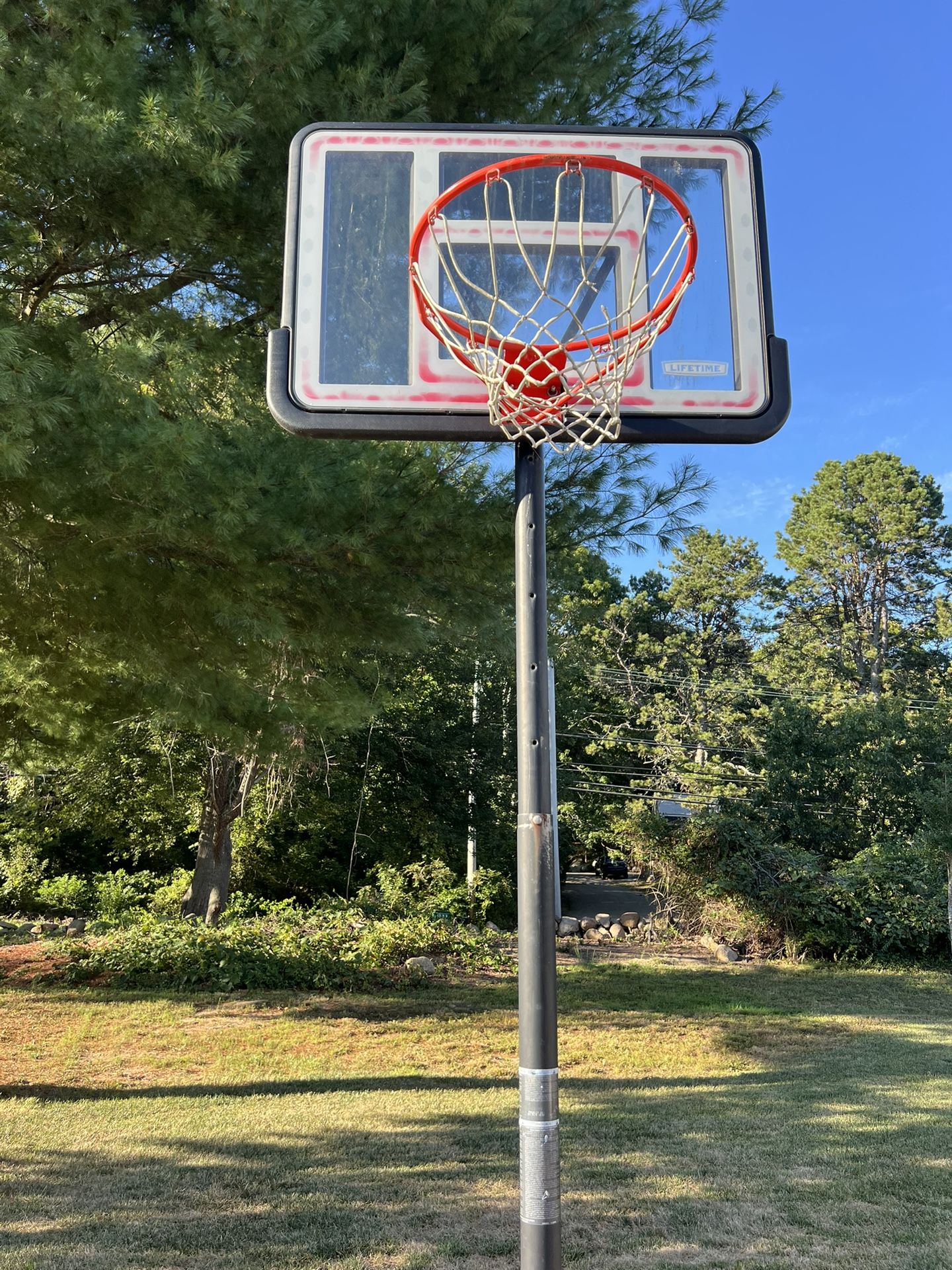Basketball Net! Great Condition! 