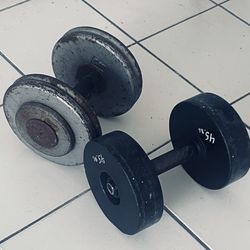 Pair Of 45 Pound Dumbbells (2)