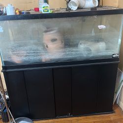 50 Or 55 Inch Fish Tank With Stand 