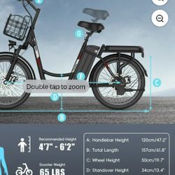 Adult Electric Bike