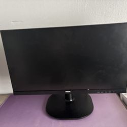 Computer Monitor 