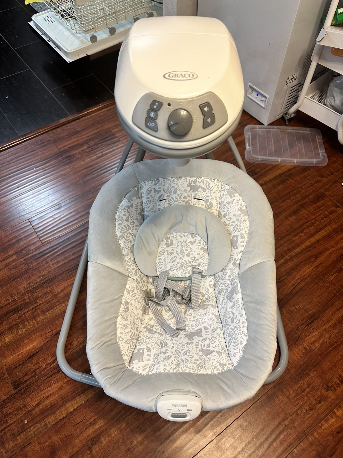 Graco Baby Swing Set