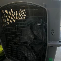 Gray XL Dog Carrier 