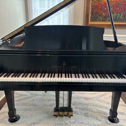 Free Steinway 