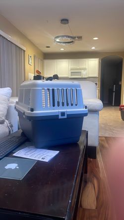 Pet travel Kernal
