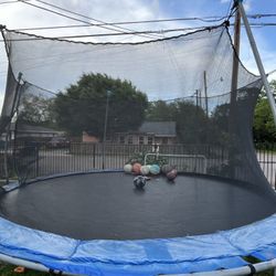 Trampoline 