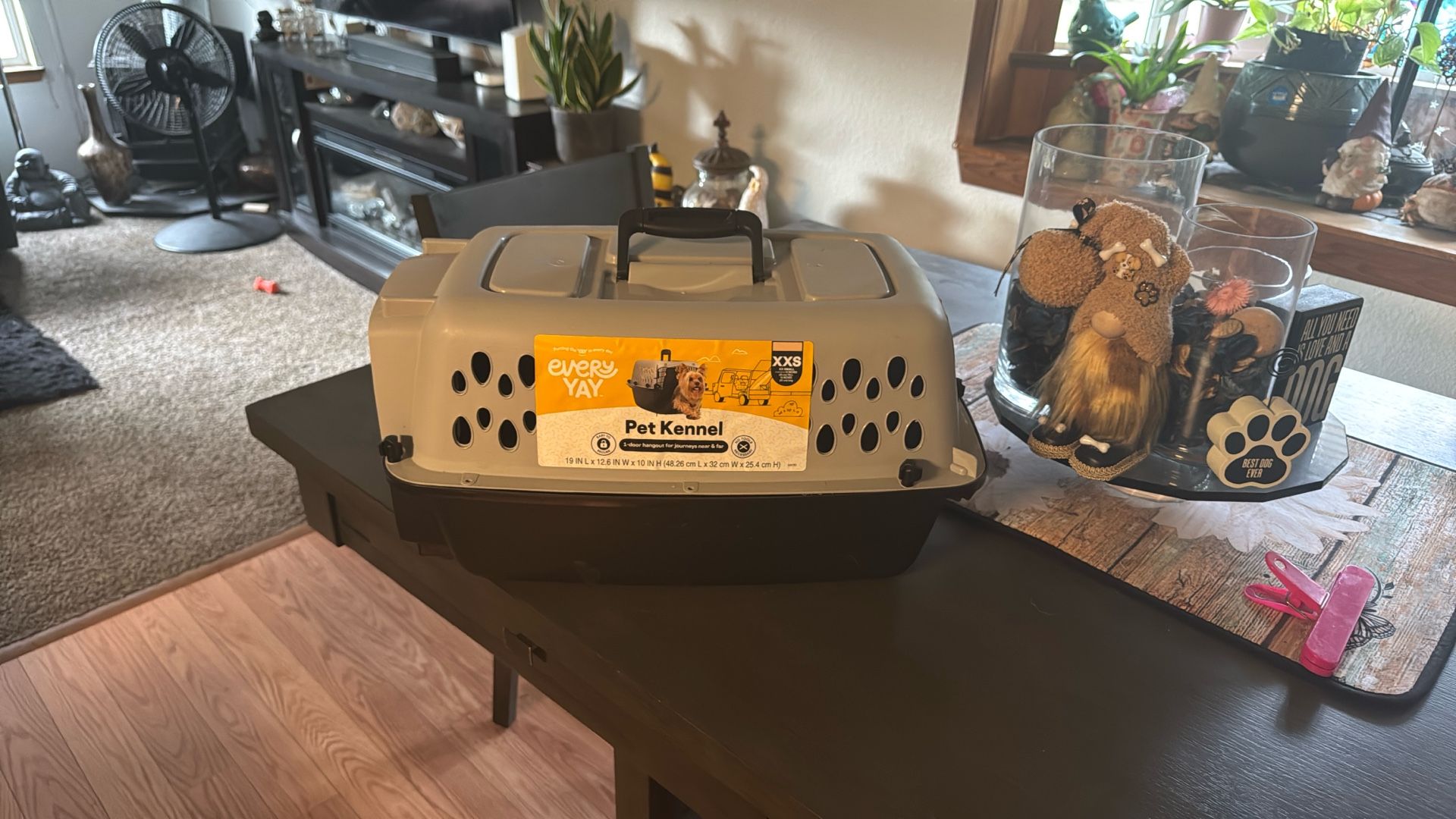 Xxs pet carrier used once