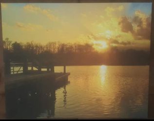 16x20 Canvas Print