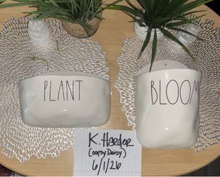 “PLANT" yourself on the couch and watch your room "BLOOM"