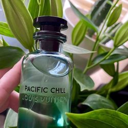 LV 🏝️🥶Louis Vuitton