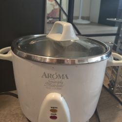 Stainless Steel Rice Cooker