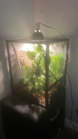 Reptile cages