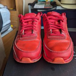 Nike Air Max Chicago Edition Size 5
