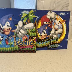 Sonic The Hedgehog Canvas