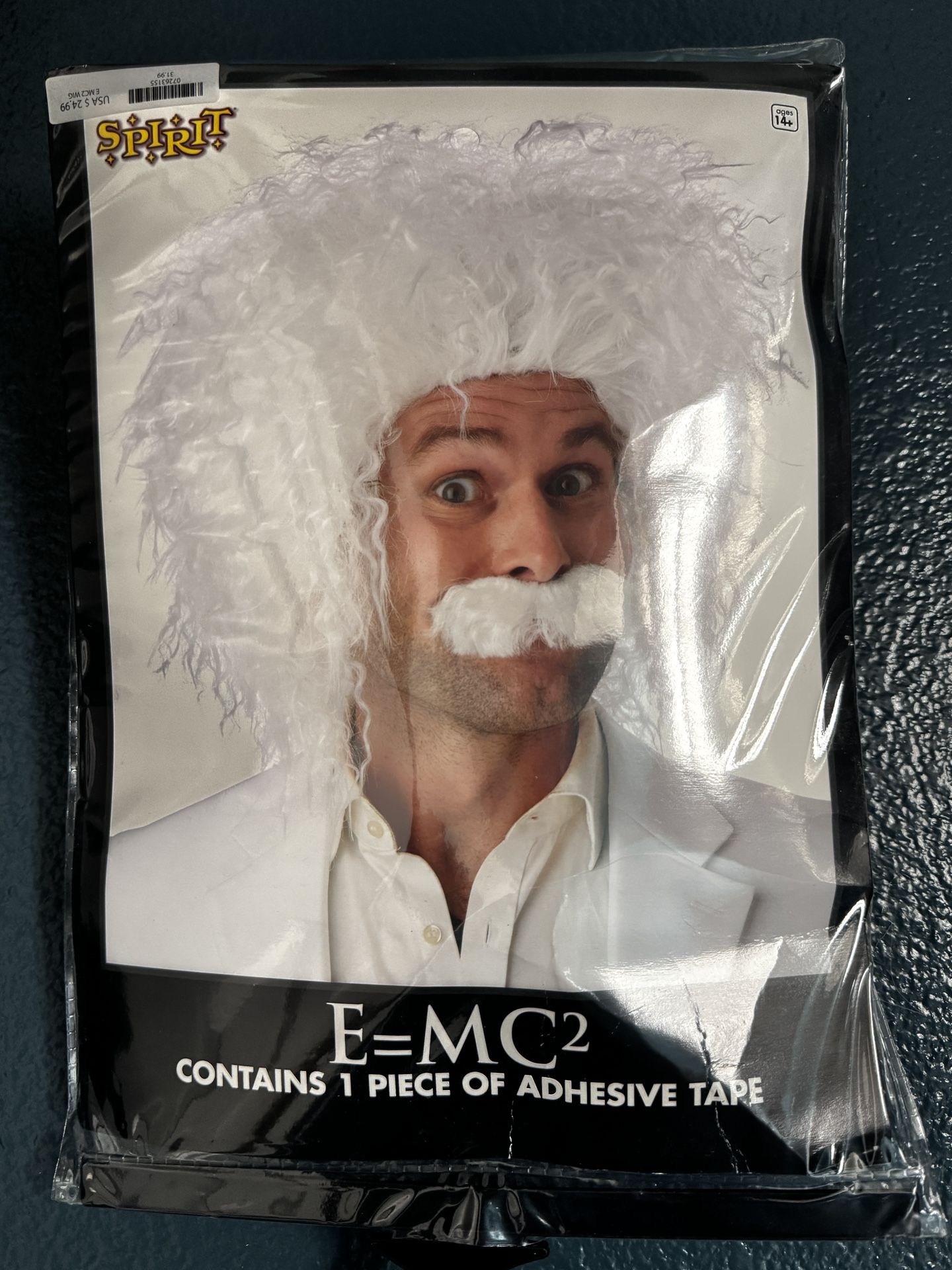 Albert Einstein Wig From Spirit Halloween