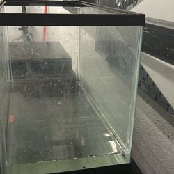 10  Gallon  Turtle /fish Tank