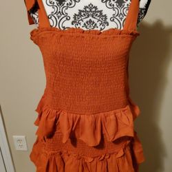 Perfectly Priscilla Smock Ginger Ruffle Dress Size 1XL 
