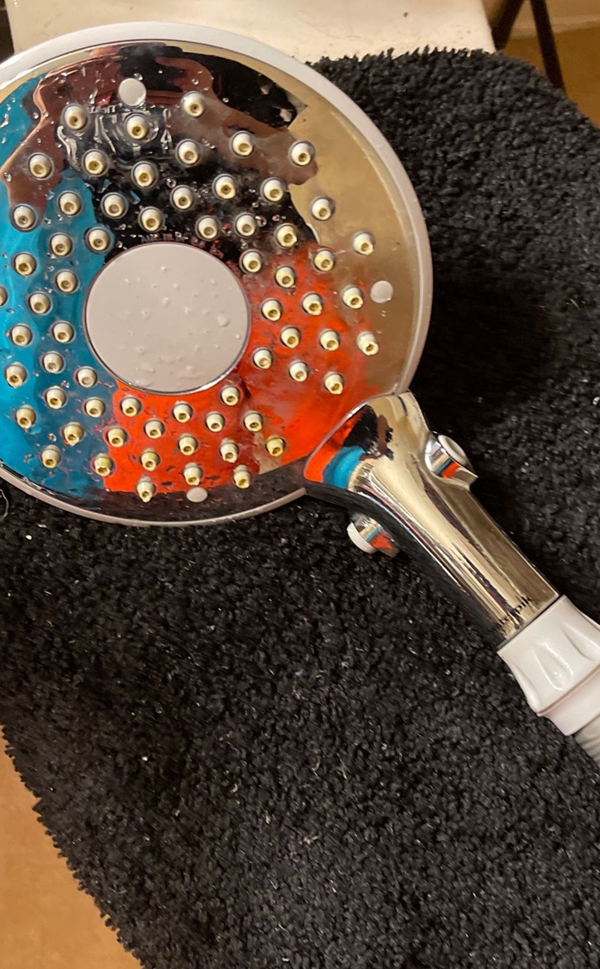 Water Pik Shower Head