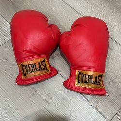 Laceless Training Gloves