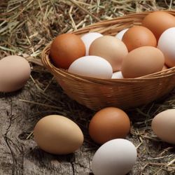 Organic Fresh  Backyard Chicken Eggs $5.00