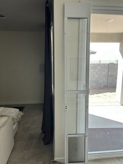 Doggy Door