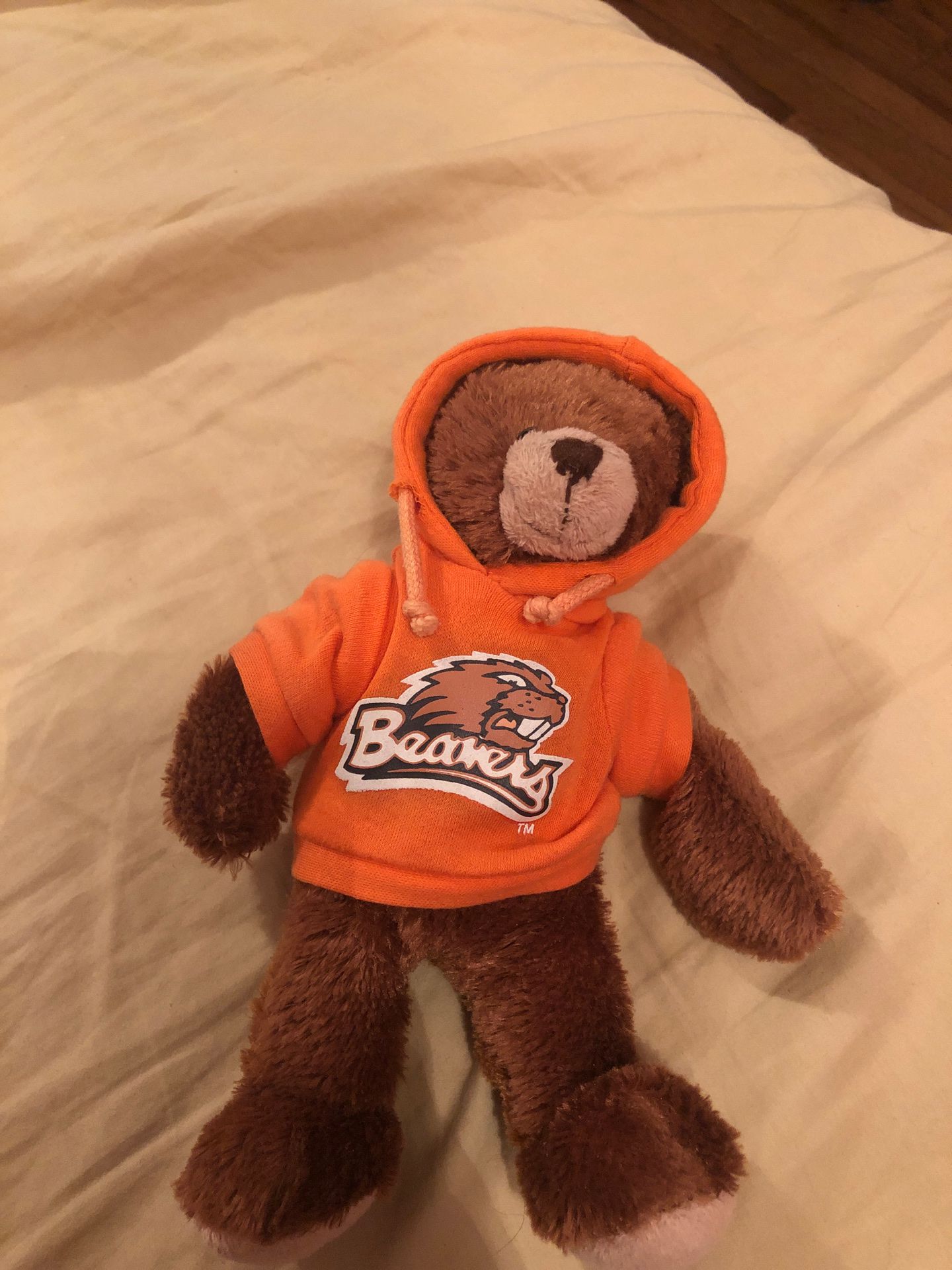 Stuffed bear with beavers sweatshirt