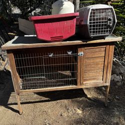 Rabbit Hutch And Carrier Too!