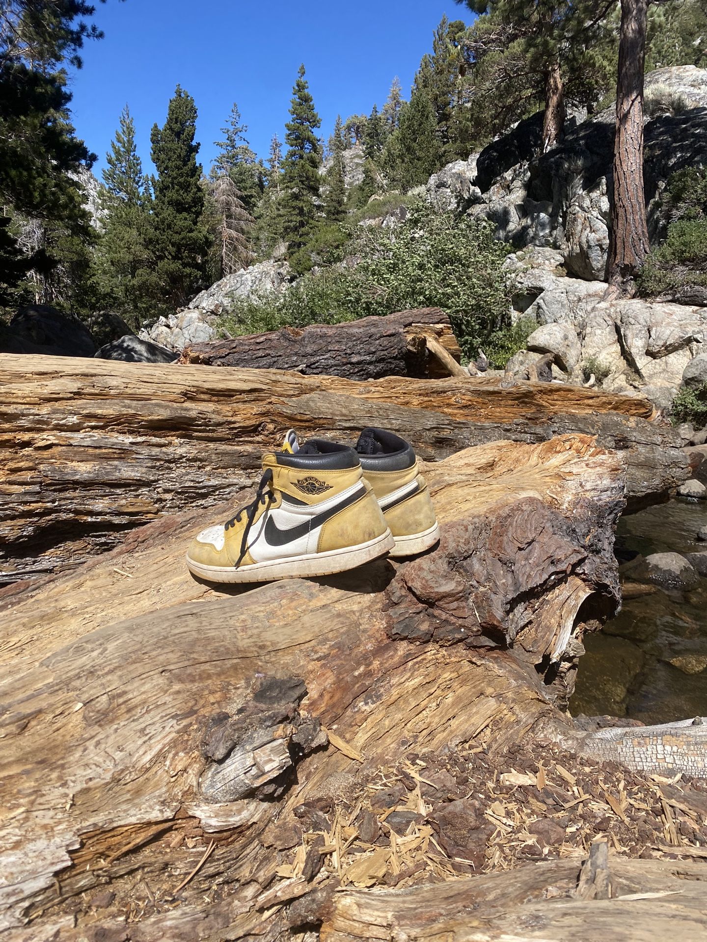 Jordan 1 Yellow