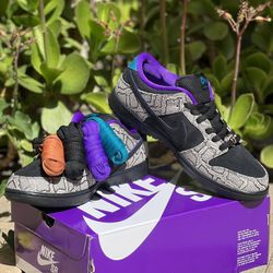 Nike SB Dunk Low Dashawn Jordan Size 13