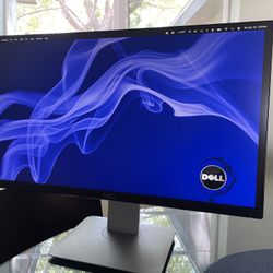 Dell UltraSharp Active Matrix 23.8" TFT-LCD Monitor