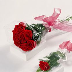 12 Roses