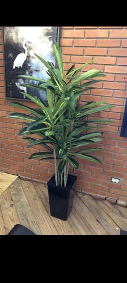 Large Artificial Dracaena Plant with Black Pot