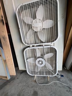Fans