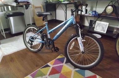 Mountain Bike