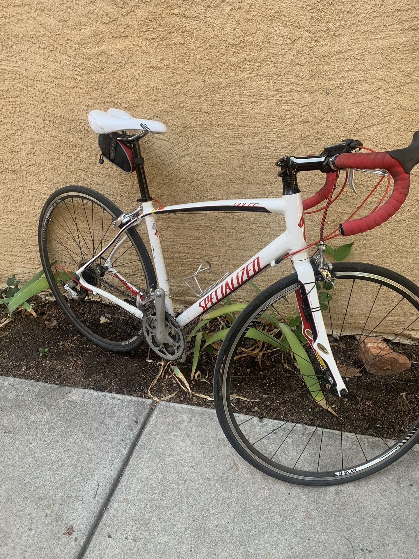 Dolce Sport Specialized