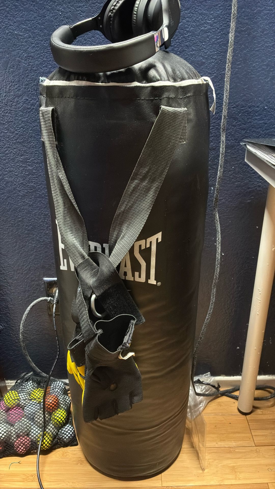 Punching bag Everlast
