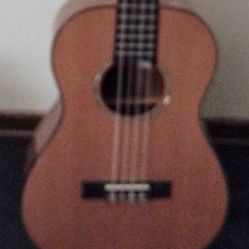 Ukulele Baritone Double String Uke 