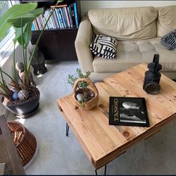 Rustic Mid-century Coffee Table !
