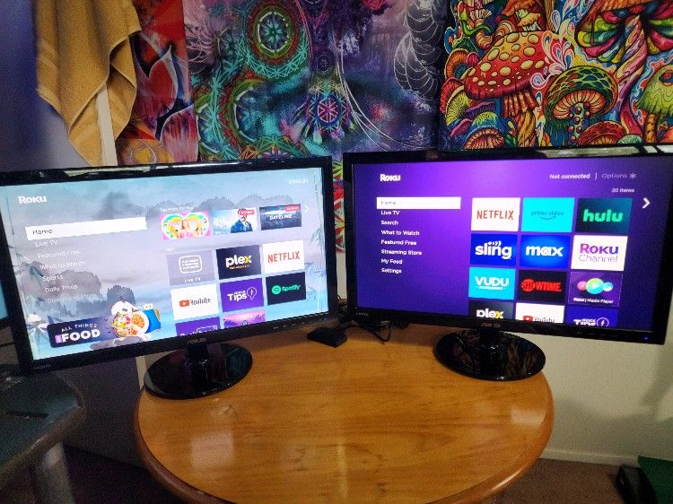Asus Computer Monitor (x2) With Dual Stand