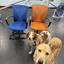Office Chairs