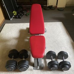 Nautilus Snap fitness Bench press and Weights / Dumbbells 