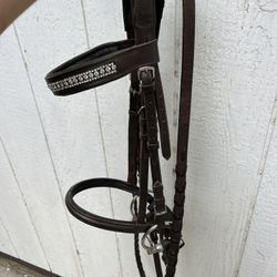 Dressage Bridle 